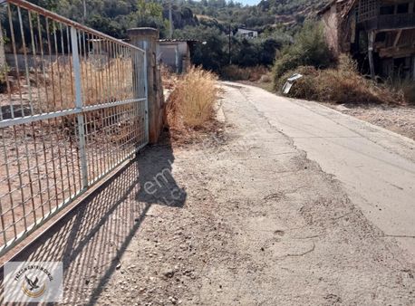 Falcon Dan Patlangıç Da 620m²