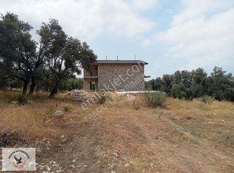 Falcon Dan Çavdır Da Fırsat Arsa