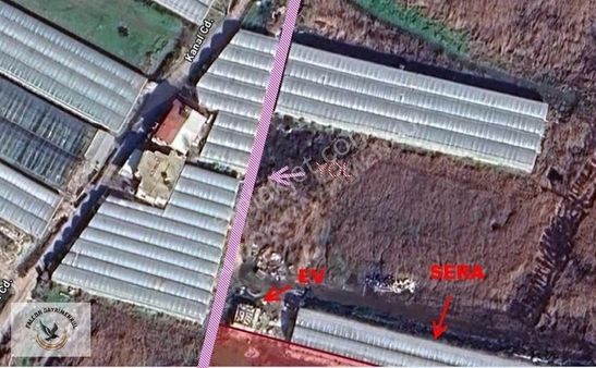 Falcon 'dan Kaş Ova'da 4956 M2 Fırsat Sera Arazizi