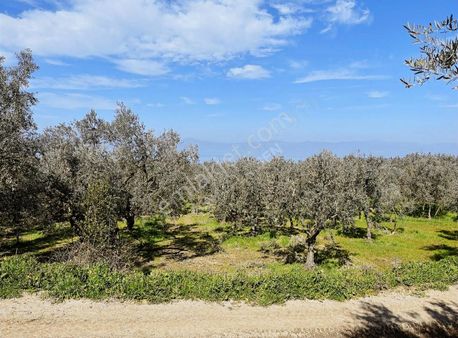 Doğanın Ve Göl Manzarasının Buluştuğu Eşsiz İmarlı Arsa