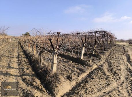 Yıldırım Yapı Gayrimenkulden Sarıgöl Merkezde Satılık Bağ