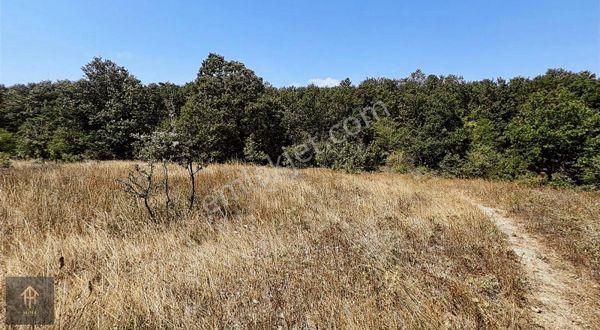 Kapaklıda Satılık 271 M2 İmarlı Arsa