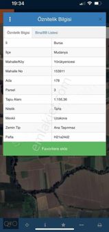 Mudanya Mırzaoba Köyüne Yakın Zeytinlik
