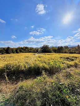 Lapseki Beypınar Satılık Tarla