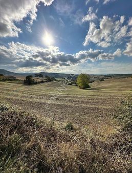 Altıkulaç Kelpir Satılık Tarla