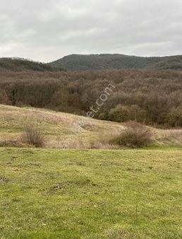 Biga Hacıköy Kelepir Satılık Tarla Acillll