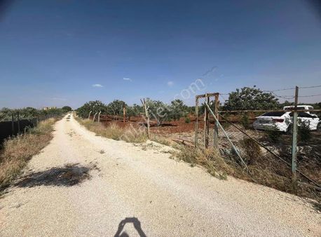 Bağ Evi Yatırımlık Ahmet Şeker Gayrımenkulden