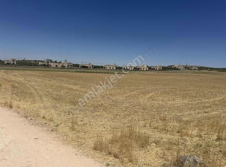 Yatırımlık Tarla Ahmetşekergayrımenkulden