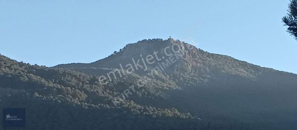 Çanakkale Bayramiç Çavuşlu Köyünde Satılık Fırsat Tarla