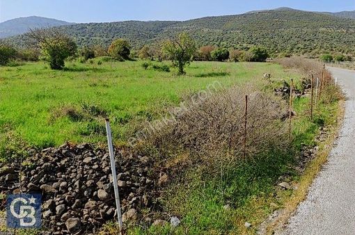 Karakuzu'da Yola Cepheli Tarla