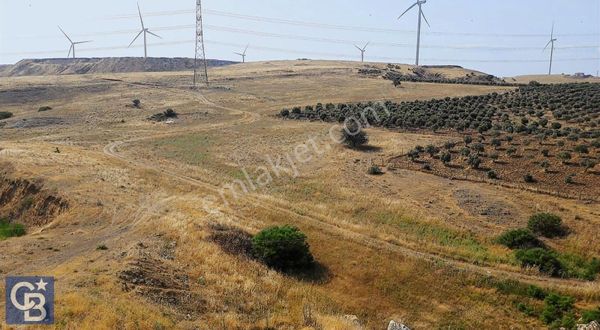 Toki Projesine Komşu Yatırıma Uygun 3.170 M2 Tarla Hissesi