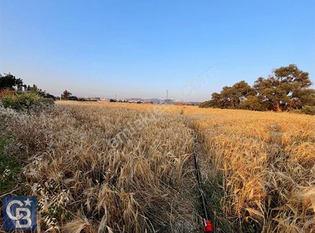 Güzelhisar' Da Alosbi Sınırında 24dönüm Tarla
