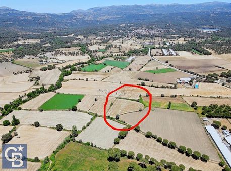 Bu Fırsat Kaçmaz Bergama Çamavlu Mevkisinde Satılık Tarla