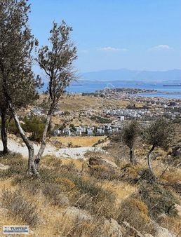 Turyap'tan Dikili Çandarlı'da Deniz Manzaralı Kooperatif Hissesi