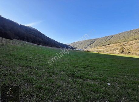 Atakum Kulacadağ'da Satılık Tarla