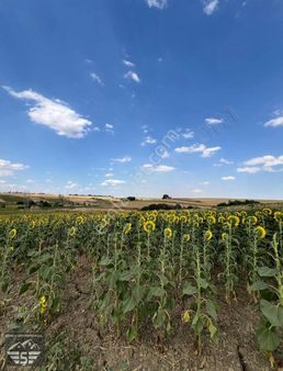 Tekirdağ Osmanlı Mah Satılık Tarla