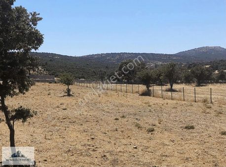 Ayvacık Merkeze 1 Km Mesafede Asfalta Sıfır Çiftlik Arazisi...