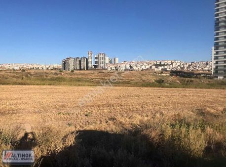 Ovacık Ta Satılık Kupon Arsa