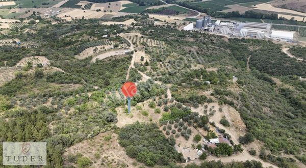 Tuder'de Yenişehir Toprakocak'ta Yatırımlık Fırsat Bahçe