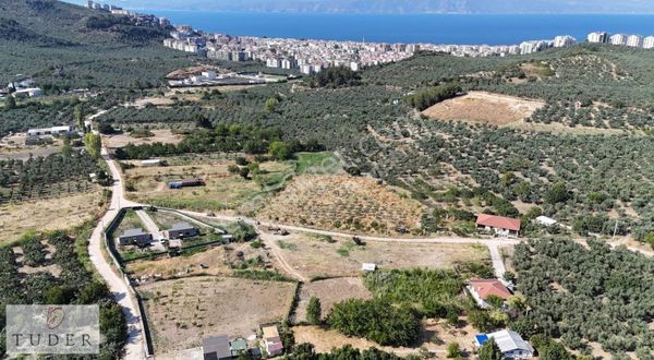 Tuder'den Mudanya/aydınpınar'da 835 M2 Bahçe