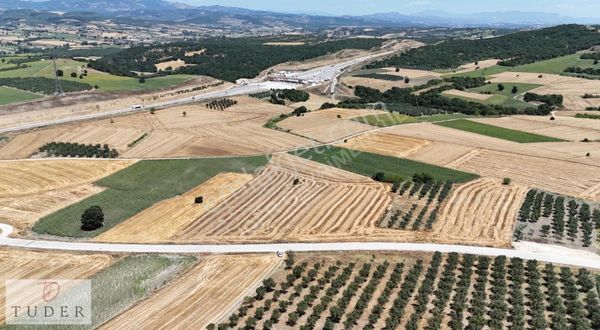 Badırgada (asfalt) Cepheli Yatırımlık Tarla Tosaba 200mt !!!!