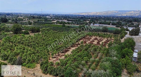 Tuder'den İnegöl/hamamlı'da Kadastro Yoluna Cephe 22 Dönüm Tarla