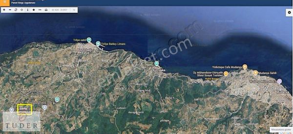 Mudanya Trilye'de Asfalta 300mt Mesafede Satılık Zeytinlik