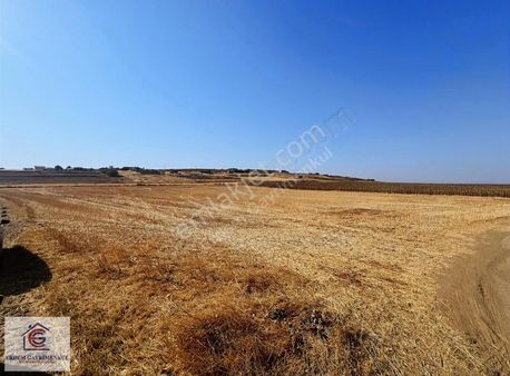 Marmara Ereğlisi Yeniçiftlik'te 2 Yola Cephe Satılık Tarla