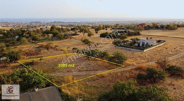 Marmara Ereğlisi Yeniçiftlik Eski Bağlarda Satılık Bağ Yeri