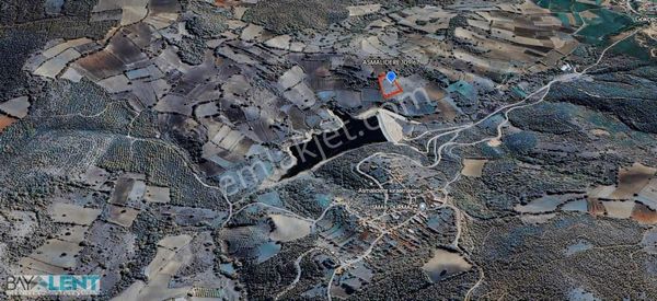 Baylent Emlaktan Susurluk Asmalıdere Satılık Tarla