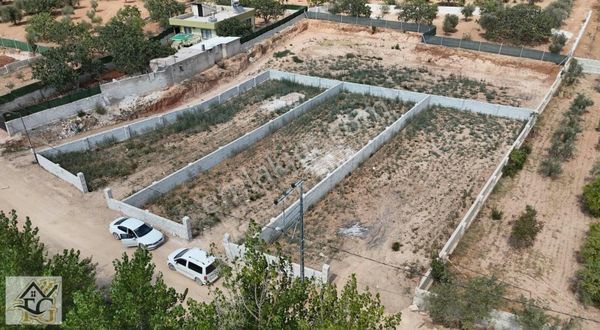 Oğuzeli Gürsu Yol Üzeri Bağevlik Arazi Etrafı Çevrili