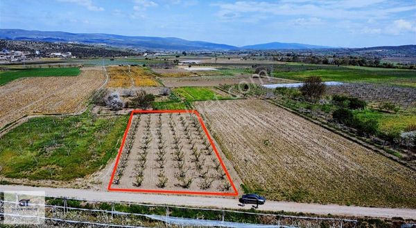 Kaçmaz Yatirim Taşlıkta Yola Cephe Şeftali Bahçesi