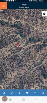 Hs'den Bayındır Da Yatırımlık Zeytinlik