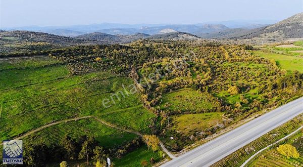 Asos Ahmetçe'de 43.308m2 İzmir Otoyol Üstünde Satılık Tarla