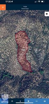 Çanakkale Adatepe'de Deniz Manzaralı Satılık Zeytinlik