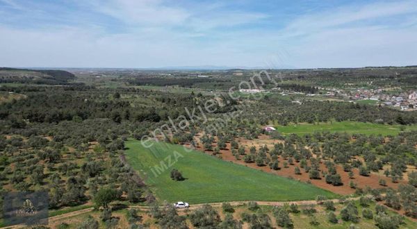 Çanakkale Dümrek Köyü Satılık Tarla Kelepir