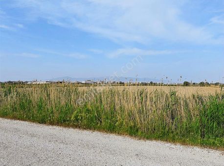 Depo Ve Antrepo Yapımına Uygun Tarla