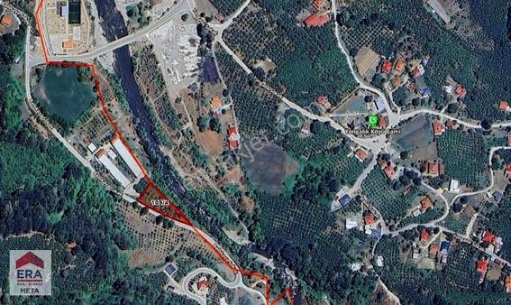 Sakarya Akyazıda 2081 M2 Fındıklık