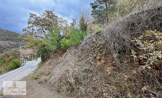 Alanya Sapadere Kanyonun Yanında Köy Evi Yapmaya Uygun Tarla!