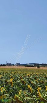 Silivri Çantaköy De İmarlı Arsa