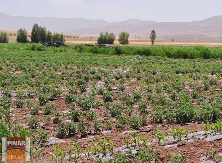 Yumrutepede Satılık Tarla