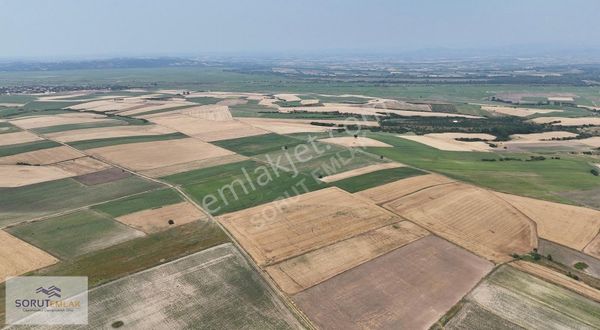 İpsala Sarıcaali 34.000 M2 Resmi Yola Cephe Tarla