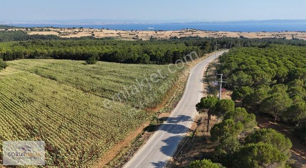 Gökçetepe Ana Yol Üzerinde 7.250 M2 Satılık Tarla