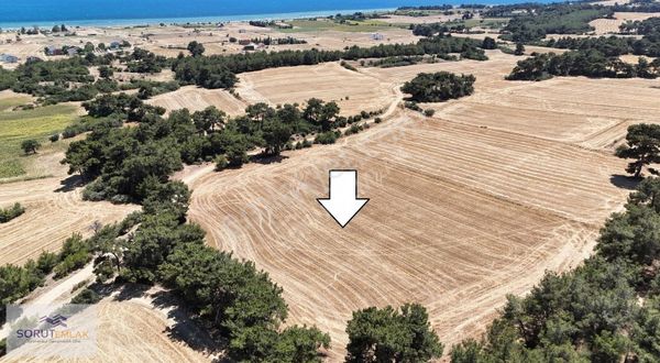 Adilhan Sahil'i Güzel Konumda 22.368 M2 Satılık Tarla