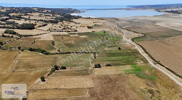 Mecidiye 6360 M2 Deniz'e Yakın Konumda Fidanlık