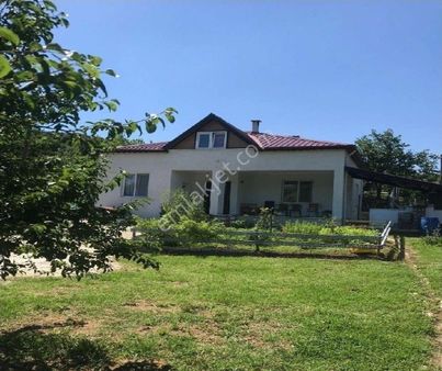 Pw Plus'tan Yalova'da Çiftlik İçerisinde Ev Ile Beraber Satılık Aronya Bahcesı