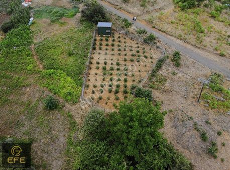 Efe Gayrimenkulden Yaylacıkta Satılık Arsa