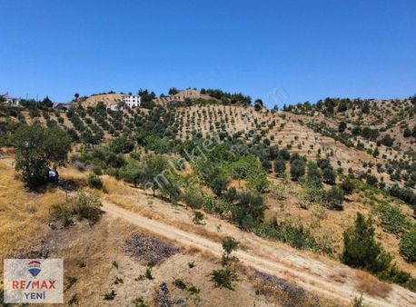 Kürtül Mahallesinde Yatırımlık Tek Tapu