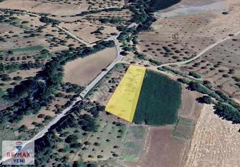 Dulkadiroğlunda Yatırımlık Tek Tapu Bağ - Bahçe