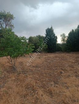 Seki Mh.420 M2 Satılık Arsa ( Merkezde Uygun Fiyata)